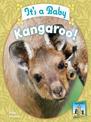 cover image of It's a Baby Kangaroo!